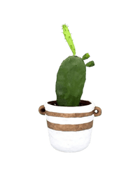 Prickly Pear Cactus (0.3) - portafino planter - white - Potted plant - Tumbleweed Plants - Online Plant Delivery Singapore