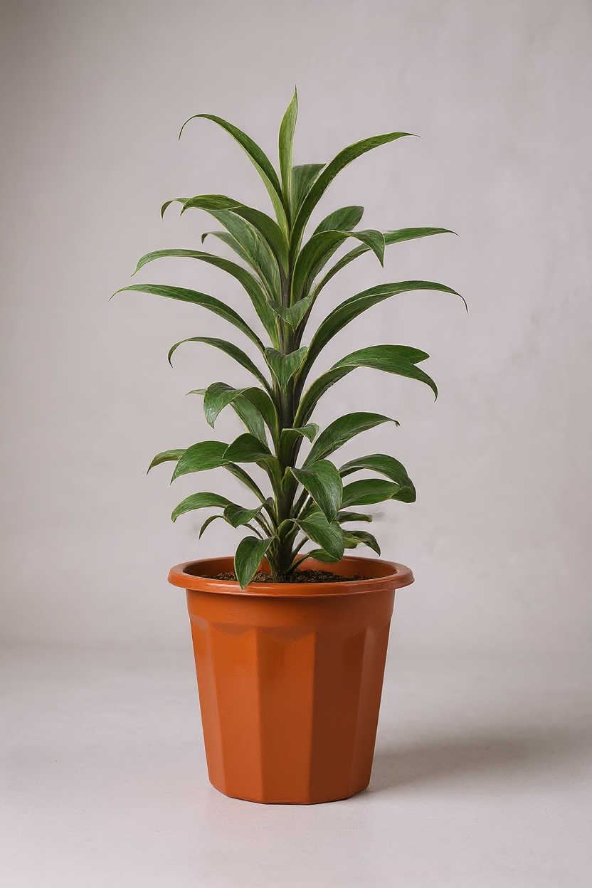 Grow Pot