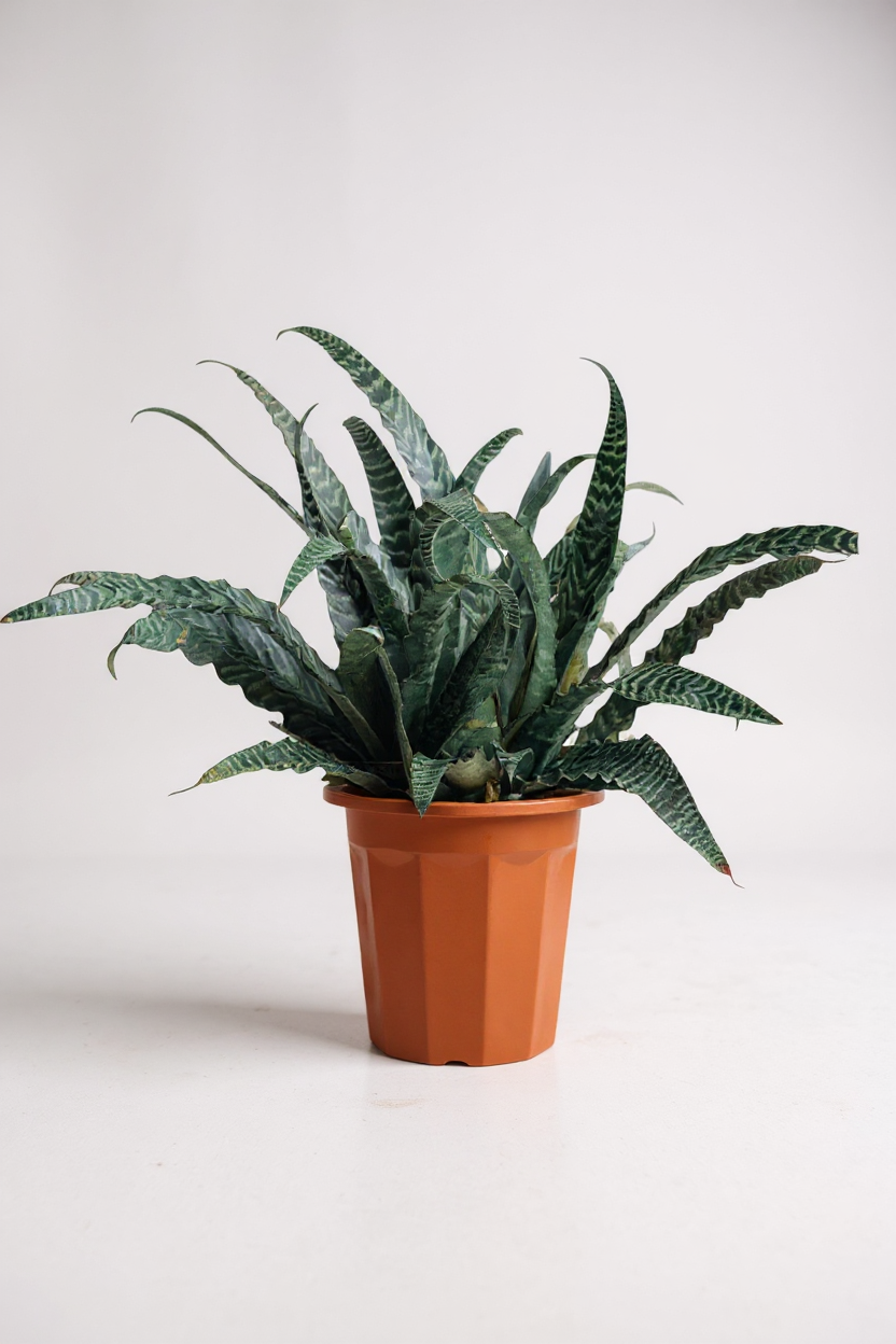 Grow Pot