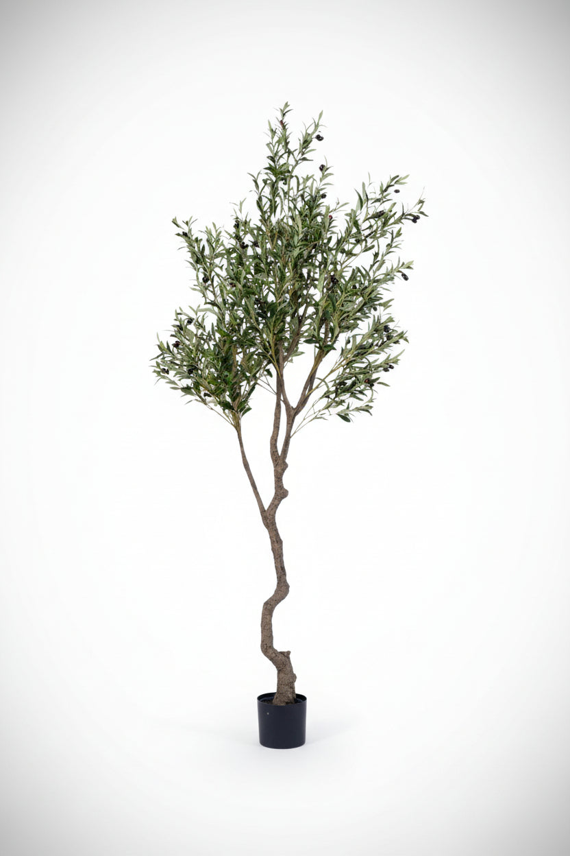 Olive Tree (Life-like Artificial)
