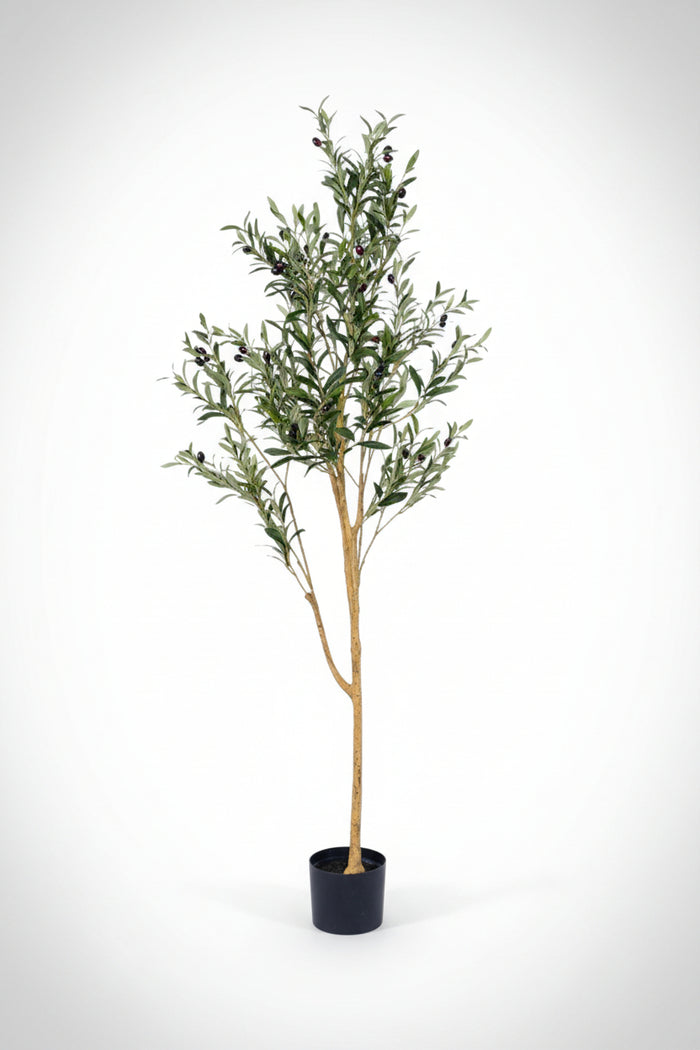 Olive Tree (Life-like Artificial)