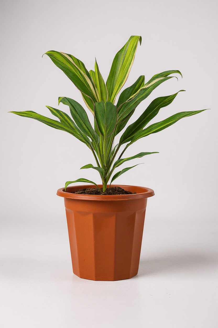 Grow Pot
