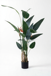 Artificial Heliconia Plant - Potted plant -  Tumbleweed Plants