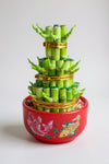 Lucky Bamboo – Three-Tier Prosperity Tower (Small)