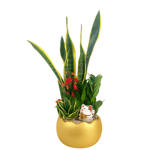 Prosperity Plant Arrangement in Golden Egg Pot (Large)