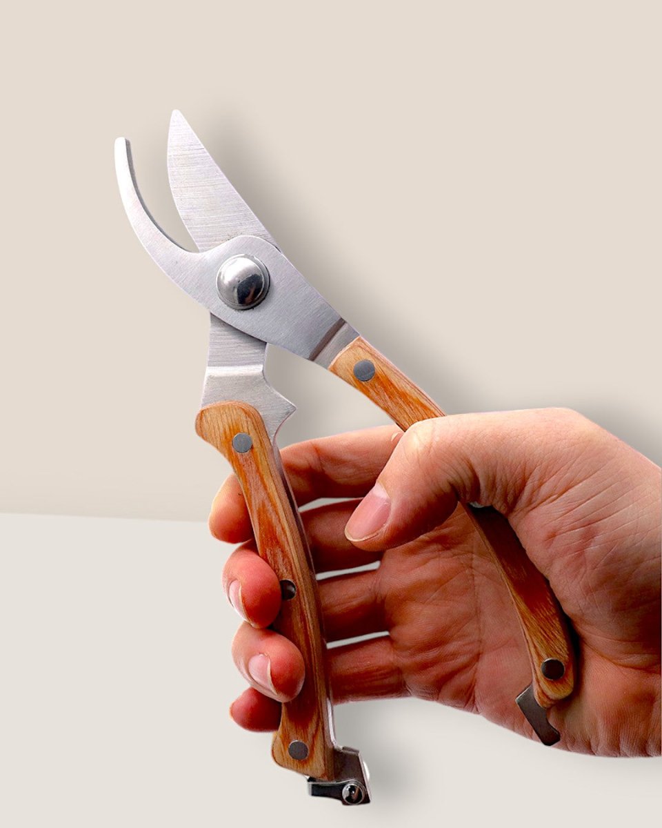 Pruning Shears - Wood Handle - Tool - Tumbleweed Plants - Online Plant Delivery Singapore