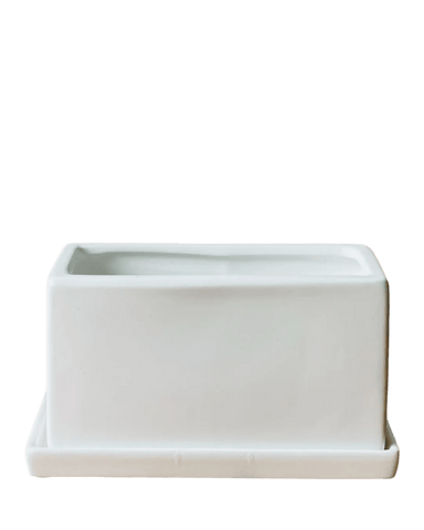 Raven Planter with Tray - white