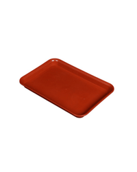 Rectangle Trays - Tray - 5461881625319 - Tumbleweed Plants - Online Plant Delivery Singapore