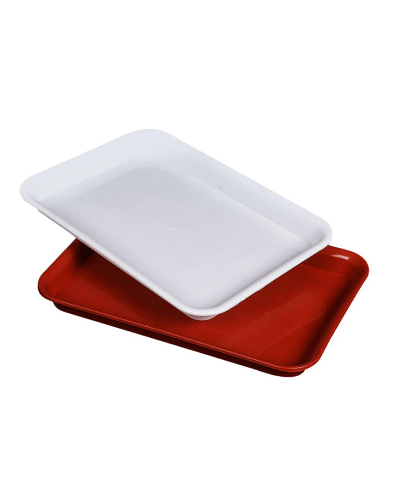 Rectangle Trays - Tray - 5461881625319 - Tumbleweed Plants - Online Plant Delivery Singapore
