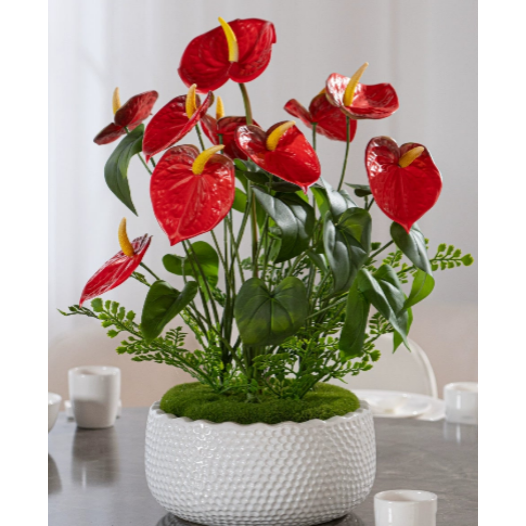 Anthurium Arrangement (Faux)