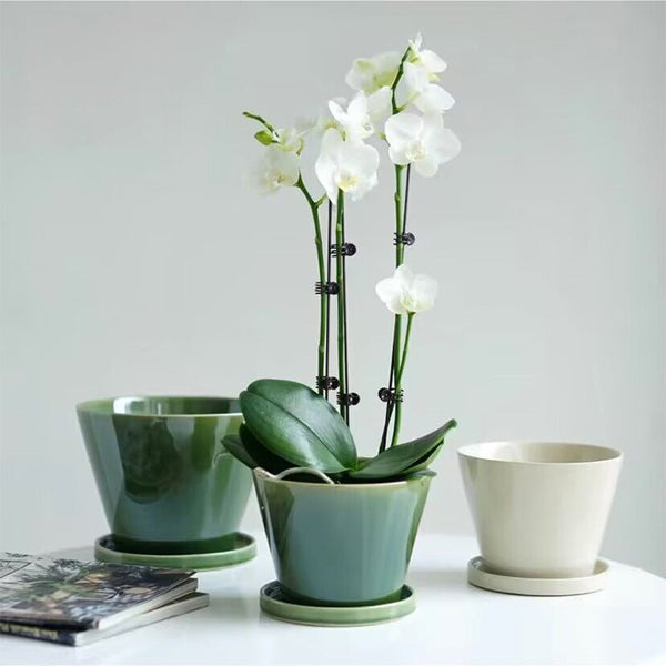 Retro Glazed Planter - Planter - 5648632823312 - Tumbleweed Plants - Online Plant Delivery Singapore