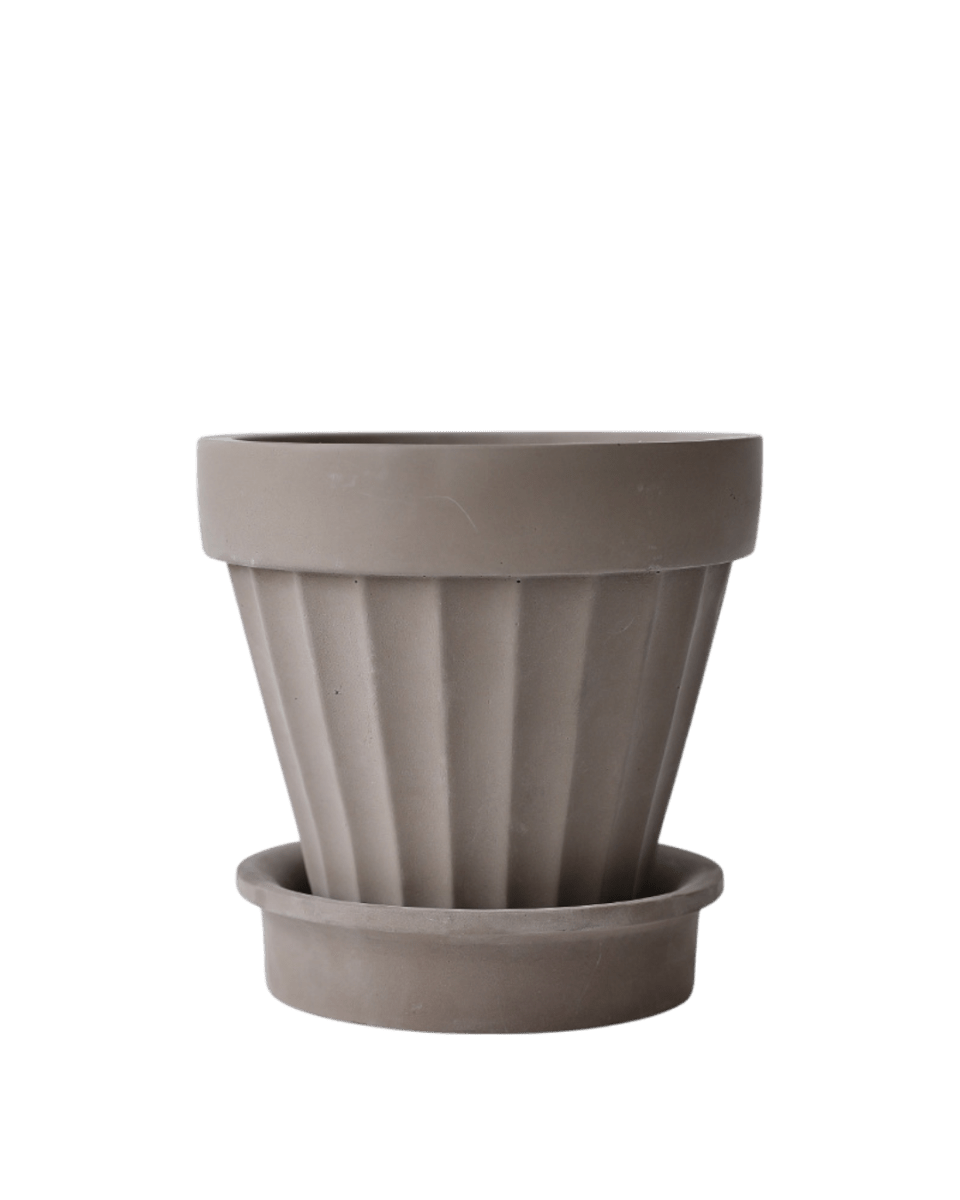 Rib Planter - Planter - 5467863744545 - Tumbleweed Plants - Online Plant Delivery Singapore