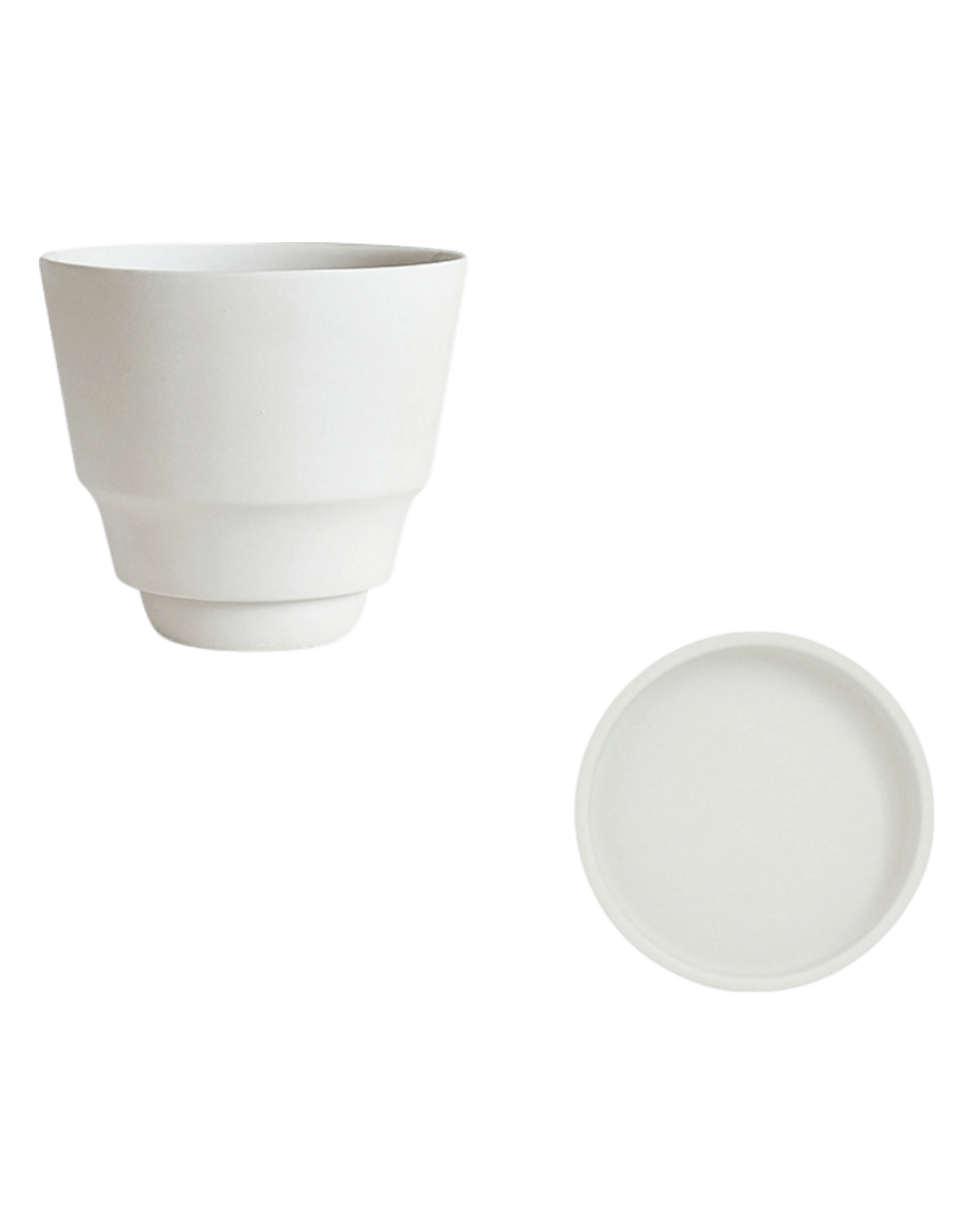 Ripple Cup Planter - Planter - 6021804955101 - Tumbleweed Plants - Online Plant Delivery Singapore