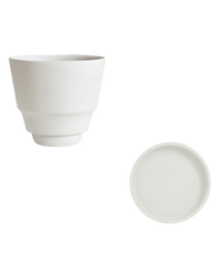 Ripple Cup Planter - Planter - 6021804955101 - Tumbleweed Plants - Online Plant Delivery Singapore