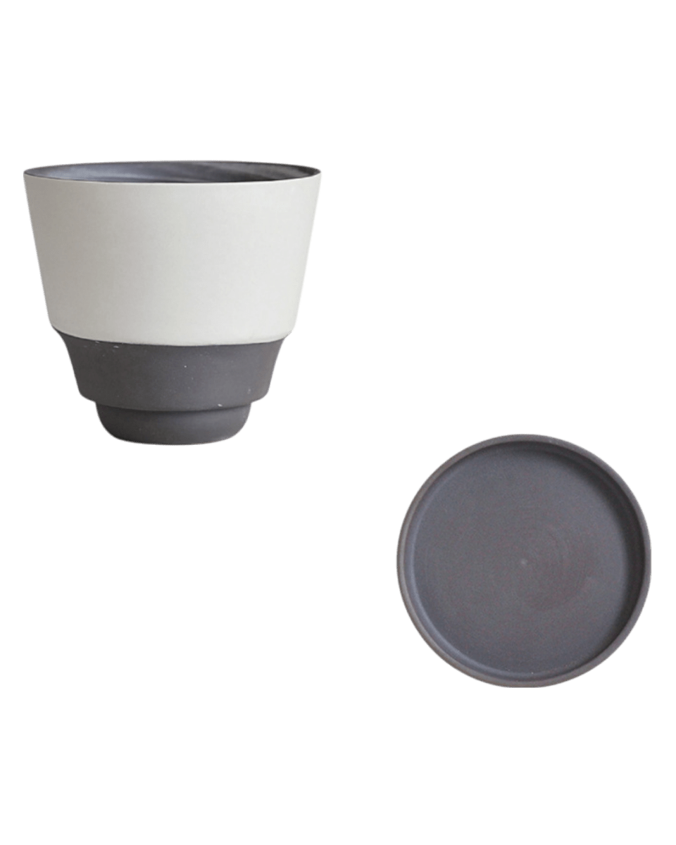 Ripple Cup Planter - Planter - 6021804955101 - Tumbleweed Plants - Online Plant Delivery Singapore