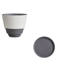 Ripple Cup Planter - Planter - 6021804955101 - Tumbleweed Plants - Online Plant Delivery Singapore