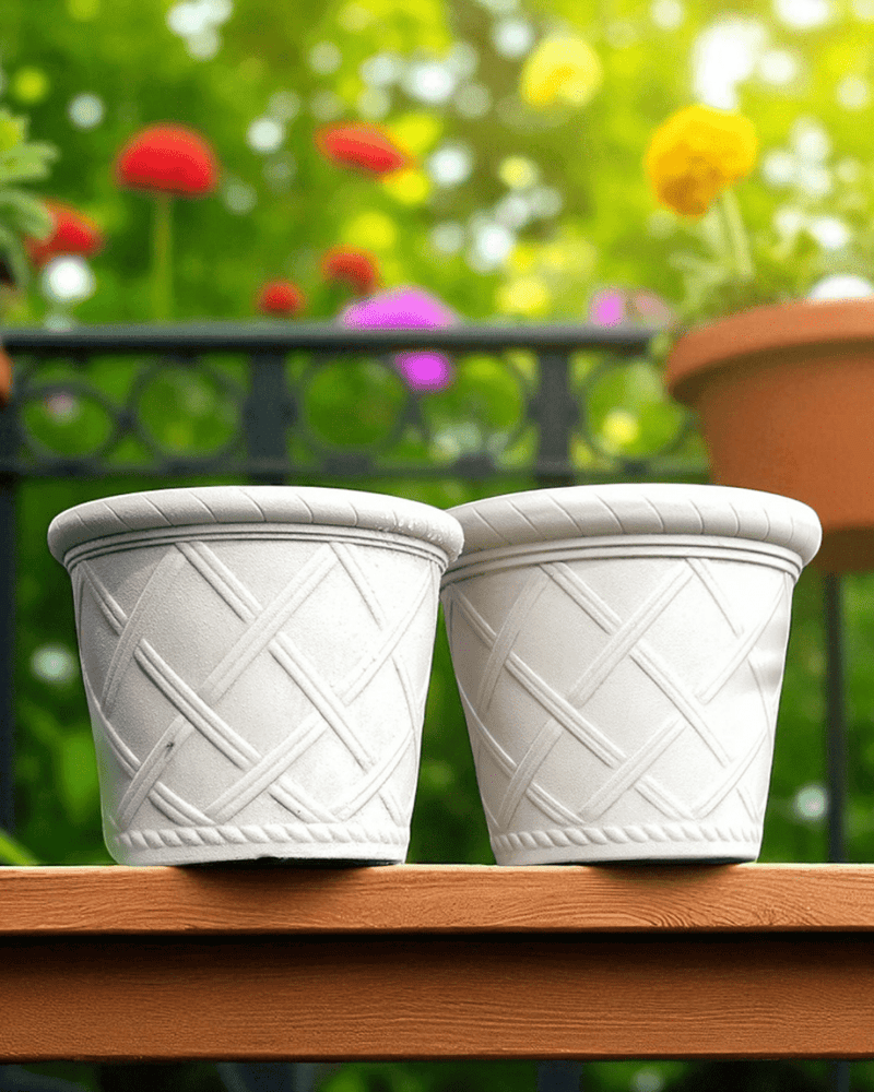 Roman Lattice Pot - XL - Planter - 5459844634548 - Tumbleweed Plants - Online Plant Delivery Singapore