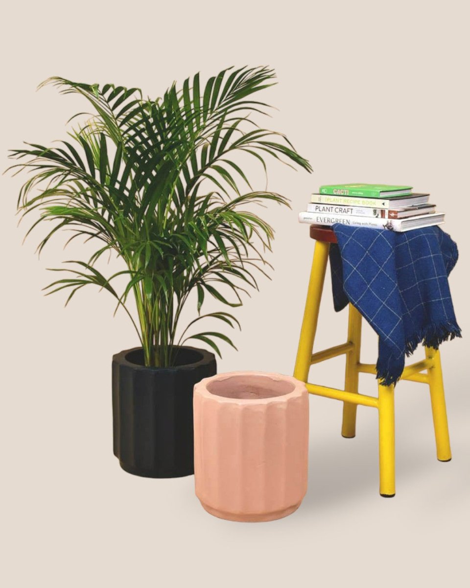 Roman Planters - almond - Pots - Tumbleweed Plants - Online Plant Delivery Singapore