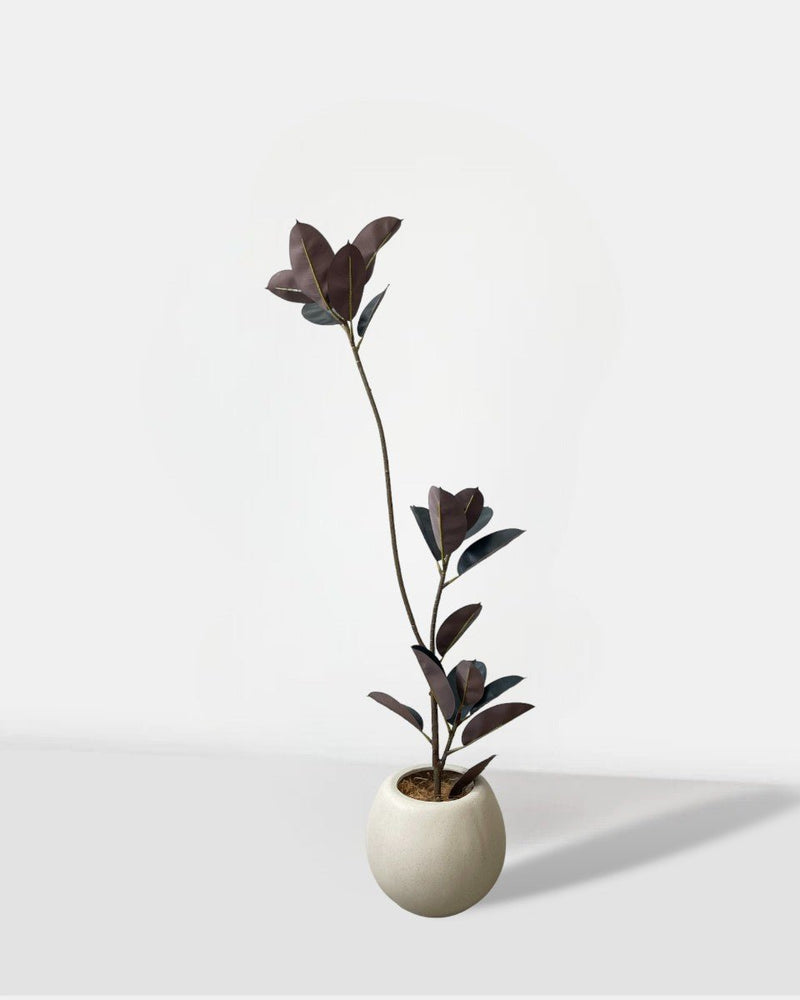 Rubber Tree (Faux Plant) 1.4m - Potted plant - Tumbleweed Plants - Online Plant Delivery Singapore