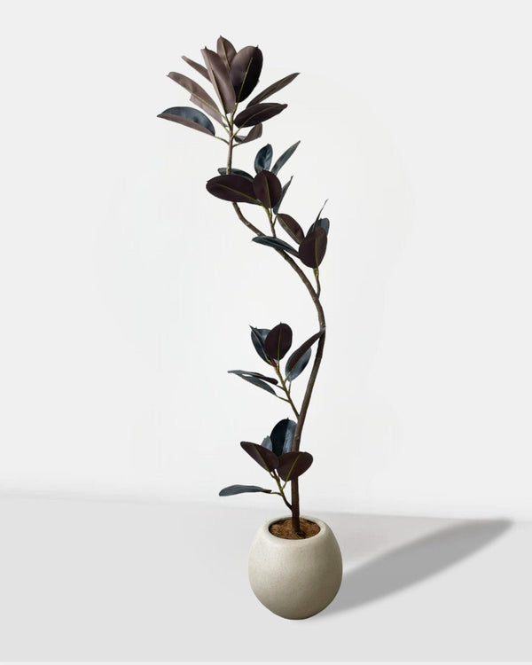 Rubber Tree (Faux Plant) 1.7m - Potted plant - Tumbleweed Plants - Online Plant Delivery Singapore