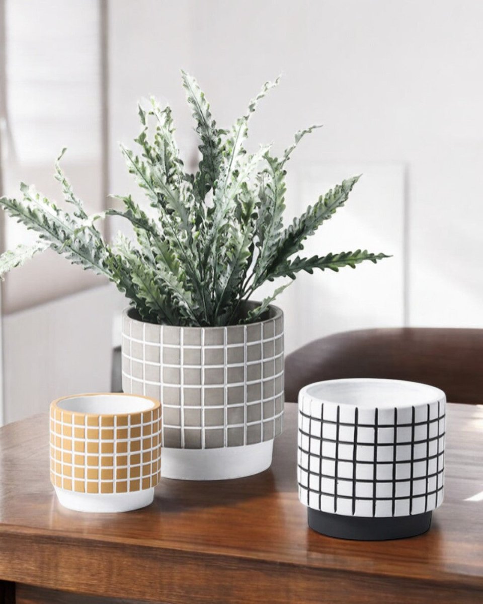 Rubik Cube Planter - Pots - 4850423012639 - Tumbleweed Plants - Online Plant Delivery Singapore