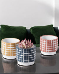 Rubik Cube Planter - Pots - 4850423012639 - Tumbleweed Plants - Online Plant Delivery Singapore