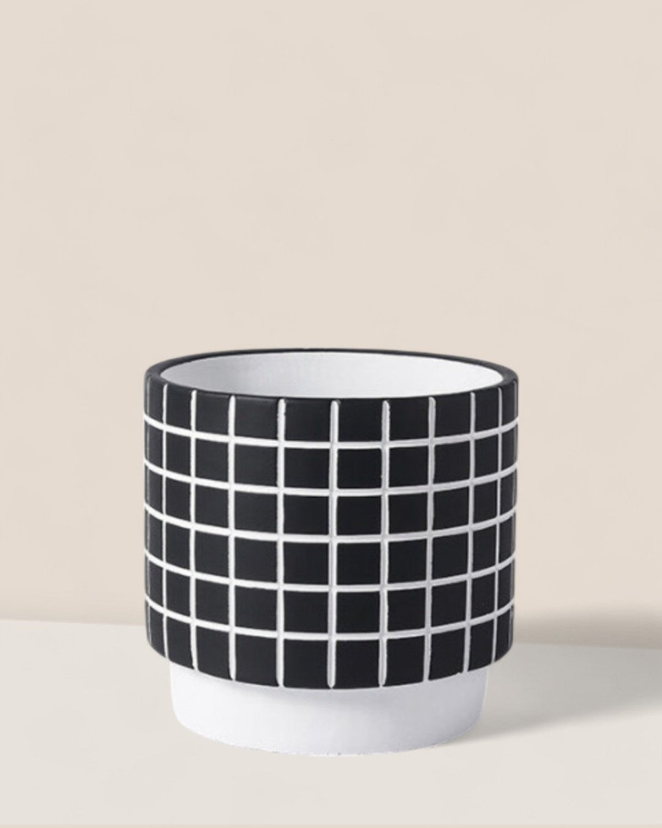 Rubik Cube Planter - Pots - 4850423012639 - Tumbleweed Plants - Online Plant Delivery Singapore