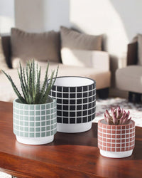 Rubik Cube Planter - Pots - 4850423012639 - Tumbleweed Plants - Online Plant Delivery Singapore