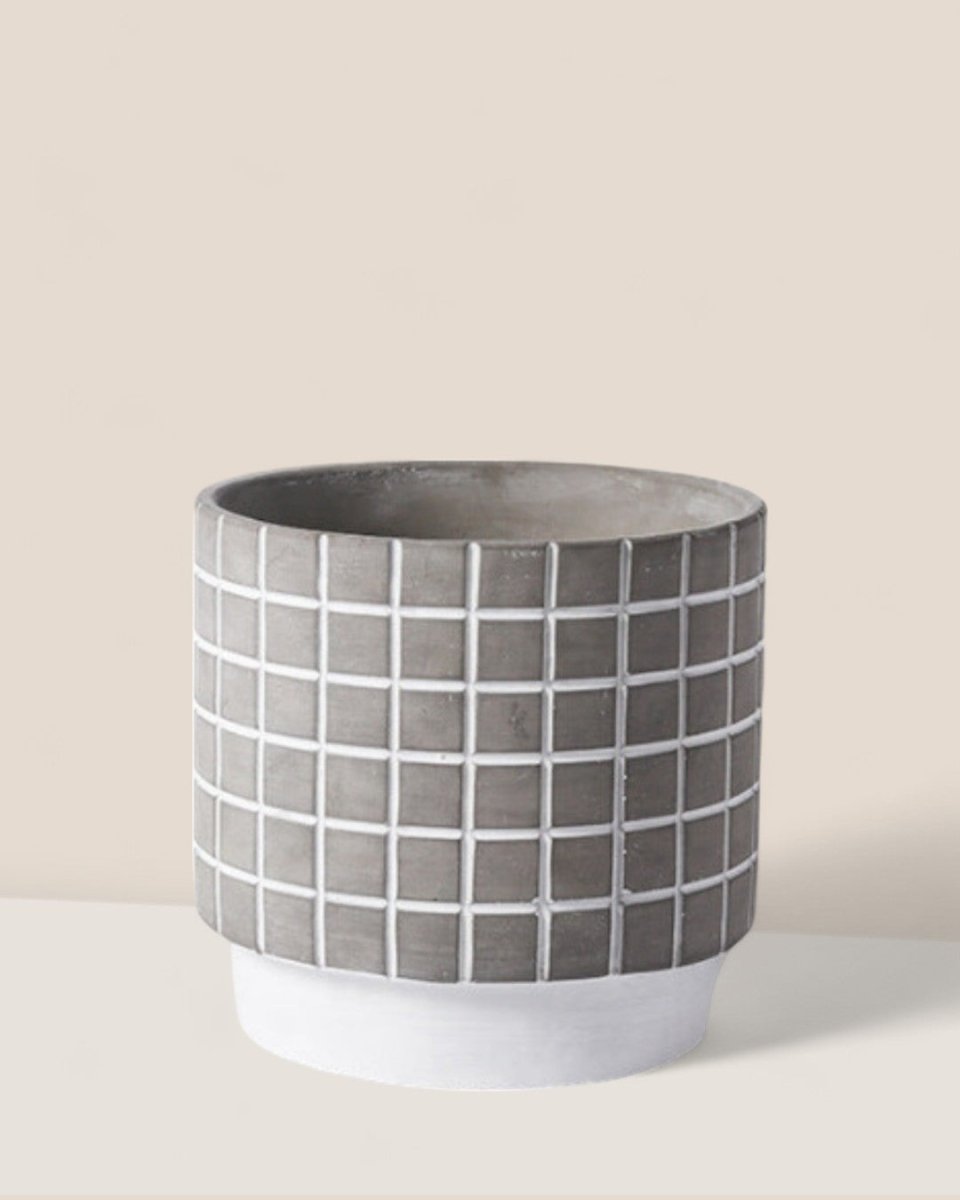 Rubik Cube Planter - Pots - 4850423012639 - Tumbleweed Plants - Online Plant Delivery Singapore