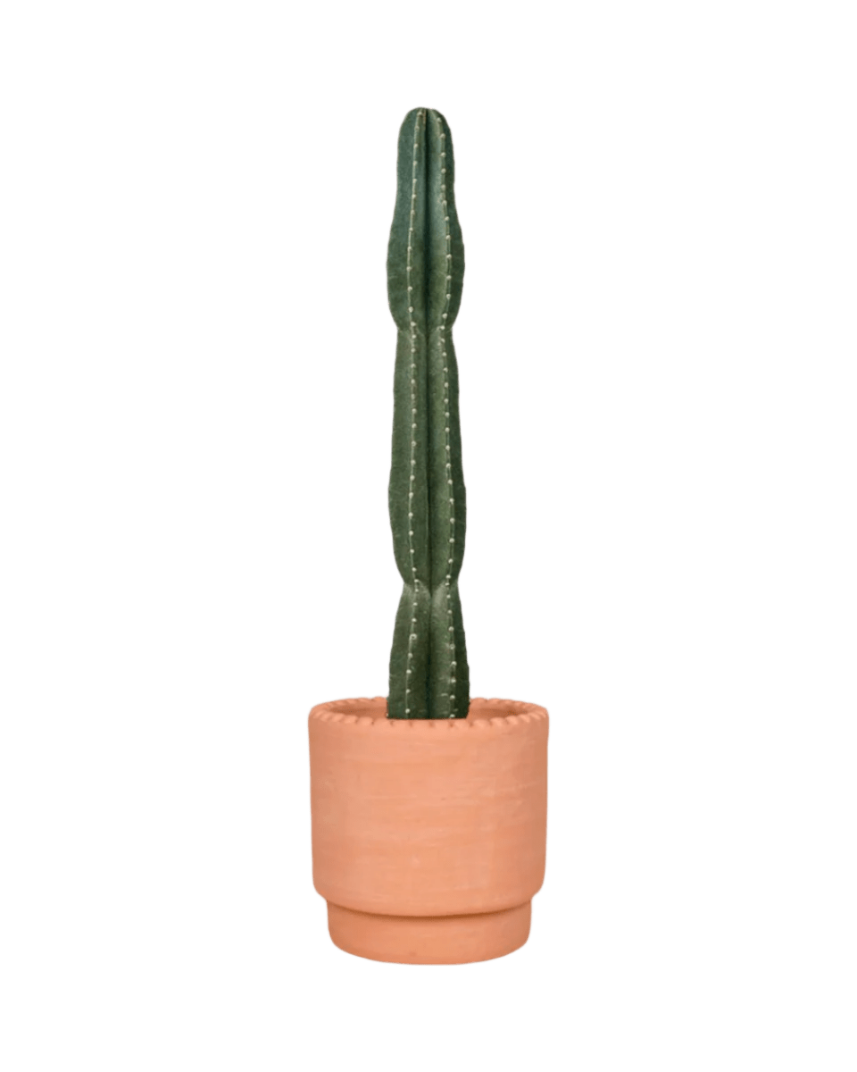 dotted rim terracotta pot