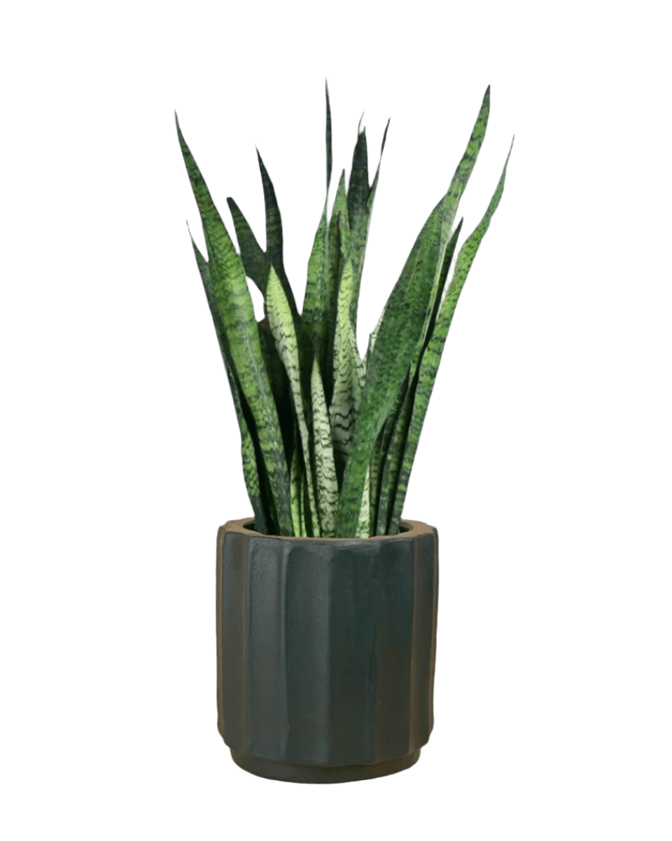 roman planter - forest green