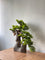 Sculpted Bonsai on Stone Centerpiece - Real-Trunk Artificial