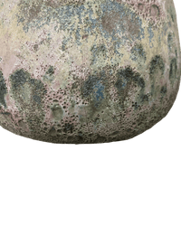 SECOND CHANCE: Ancient Moss Pot FREE assorted plant - Pots - POTS - SECO - 6801 - Tumbleweed Plants - Online Plant Delivery Singapore