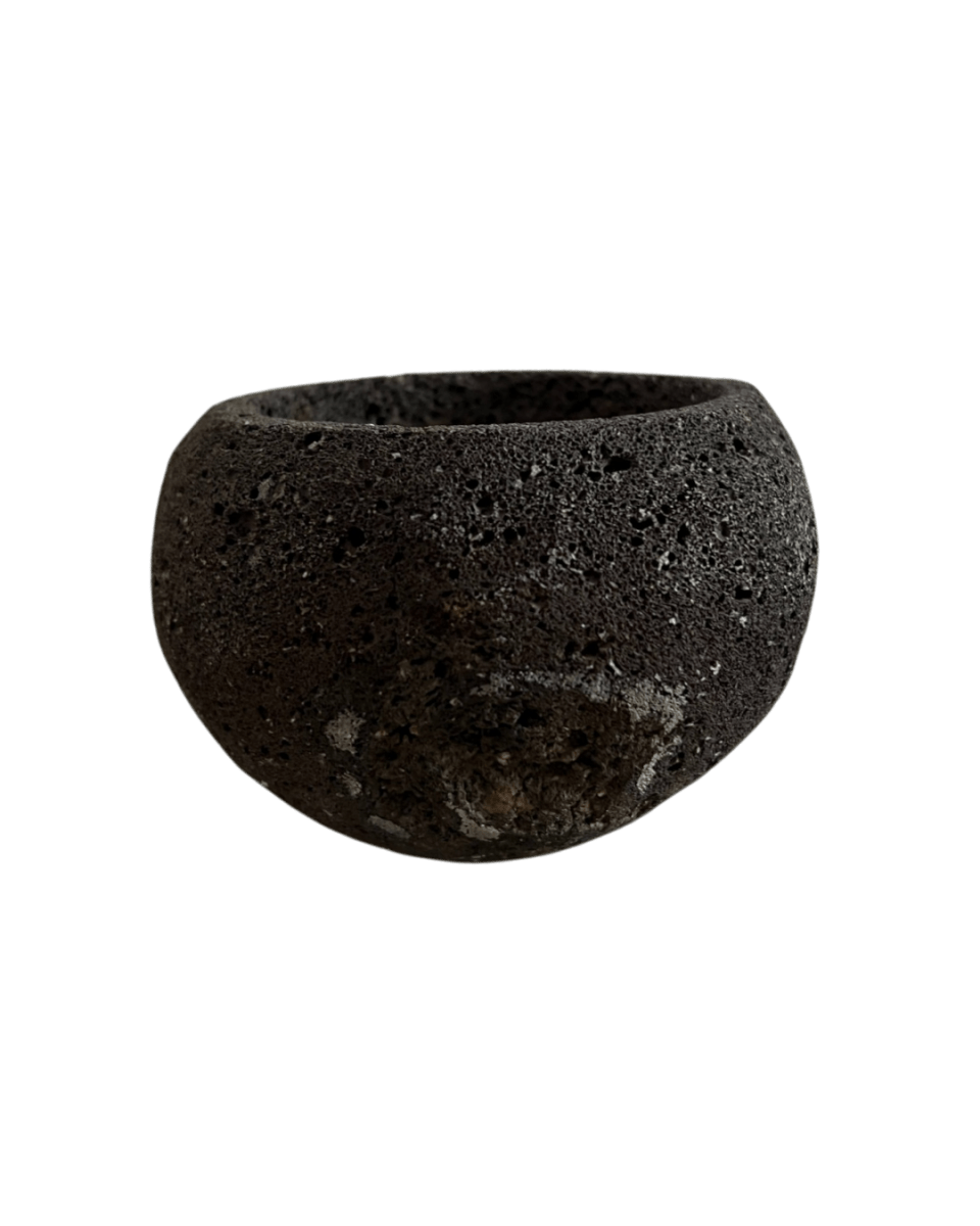 Second Chance: Ashstone Bowl FREE assorted plant - Pots - POTS - SECO - 6824 - Tumbleweed Plants - Online Plant Delivery Singapore