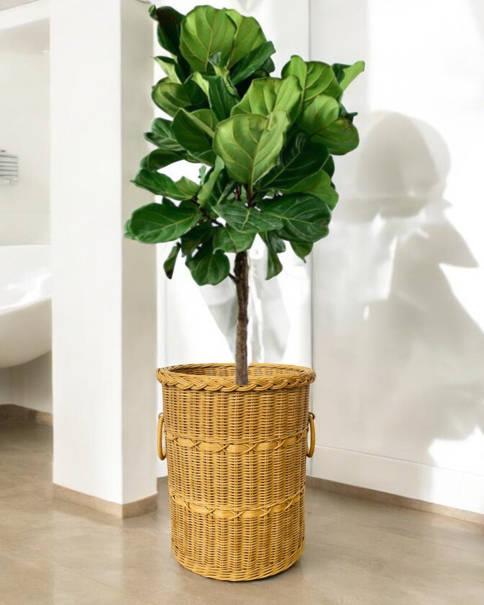 Second Chance: Basket FREE assorted plant - Home Decor - TOOL - SECO - CM - 6306 - Tumbleweed Plants - Online Plant Delivery Singapore