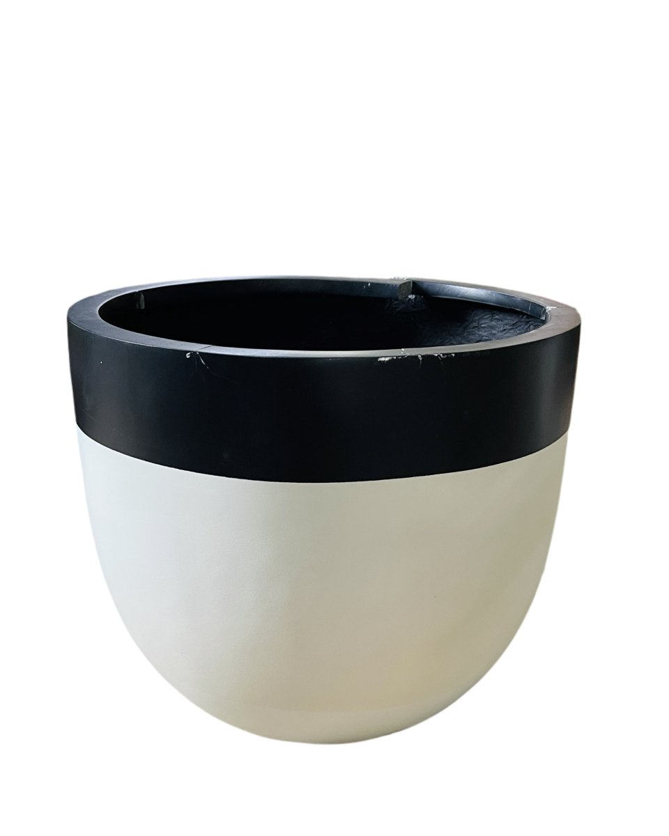 Second Chance: Big Black White Resin Pot - Pot - Tumbleweed Plants - Online Plant Delivery Singapore