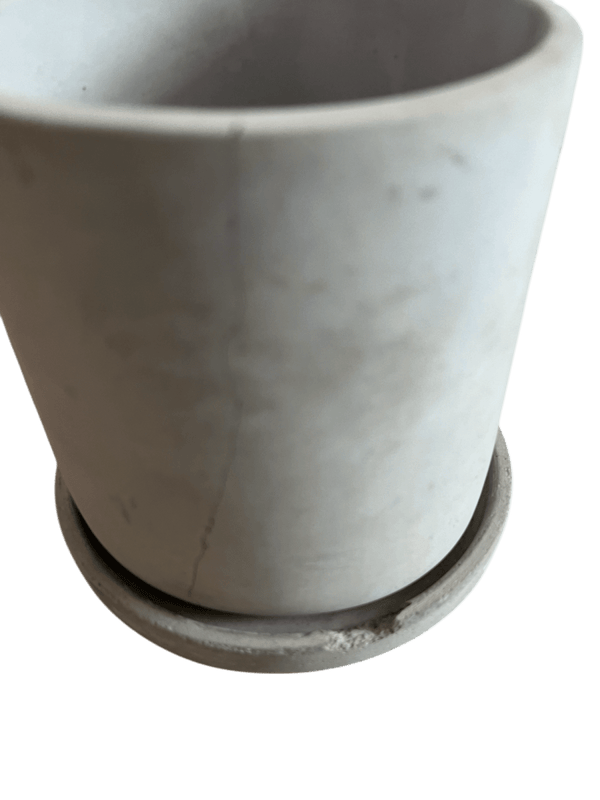 Second Chance: Concrete Pot FREE assorted plant - Pots - POTS - SECO - 6828 - Tumbleweed Plants - Online Plant Delivery Singapore