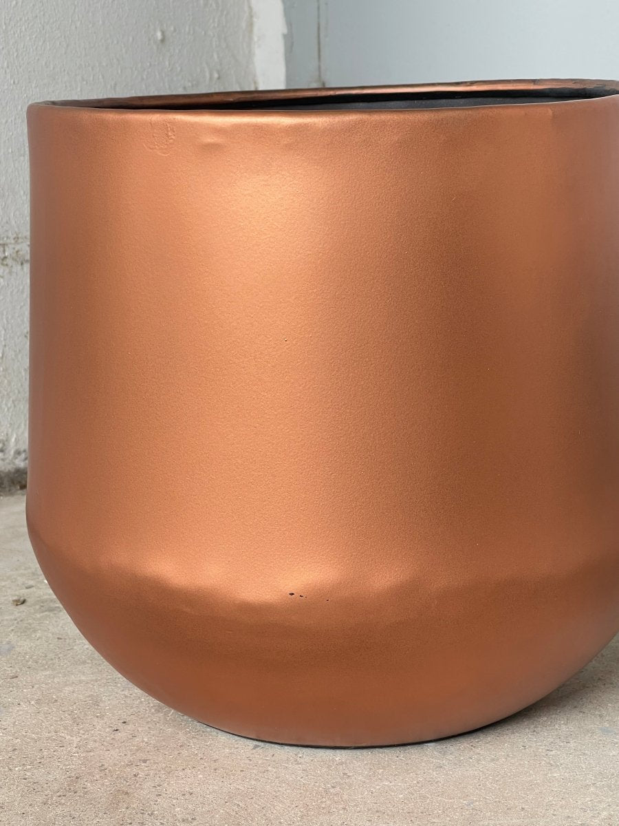 Second Chance: Copper Pot FREE assorted plant - Home Decor - TOOL - SECO - CM - 6306 - Tumbleweed Plants - Online Plant Delivery Singapore