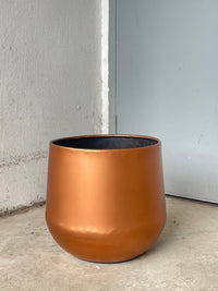 Second Chance: Copper Pot FREE assorted plant - Home Decor - TOOL - SECO - CM - 6306 - Tumbleweed Plants - Online Plant Delivery Singapore