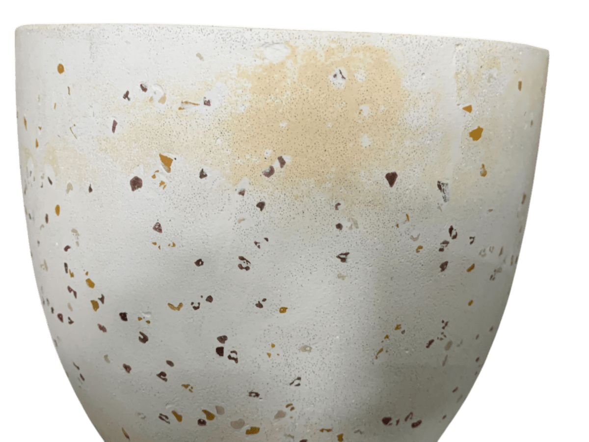 Second Chance: Cream Stone Pot FREE assorted plant - Pots - TOOL - SECO - CM - 6306 - Tumbleweed Plants - Online Plant Delivery Singapore