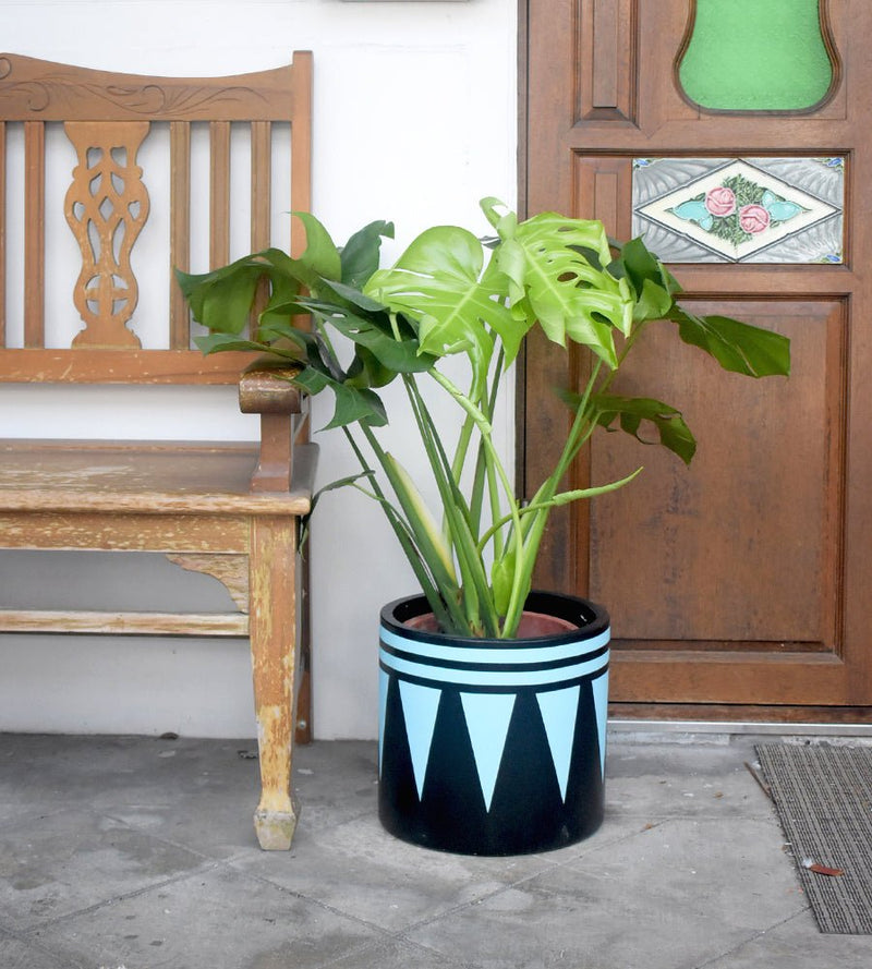 Second Chance: Drum Pot - Pot - Tumbleweed Plants - Online Plant Delivery Singapore