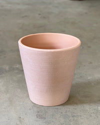 Second Chance: Extra Small Terracotta Pot with Tray - Pot - Tumbleweed Plants - Online Plant Delivery Singapore