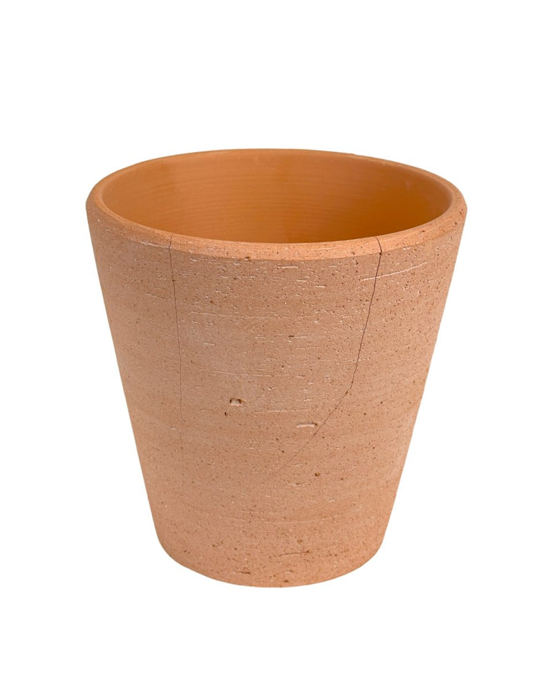 Second Chance: Extra Small Terracotta Pot with Tray - Pot - Tumbleweed Plants - Online Plant Delivery Singapore