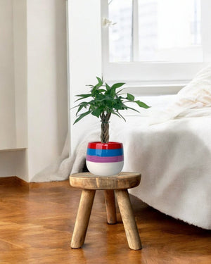 Second Chance: Little Plant Stand only (no pot) - Pots - POTS - SECO - 6840 - Tumbleweed Plants - Online Plant Delivery Singapore