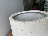 Second Chance: Moon Dust Pot FREE assorted plant - Pots - HOME - SECO - 6544 - Tumbleweed Plants - Online Plant Delivery Singapore