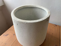 Second Chance: Moon Dust Pot FREE assorted plant - Pots - HOME - SECO - 6544 - Tumbleweed Plants - Online Plant Delivery Singapore