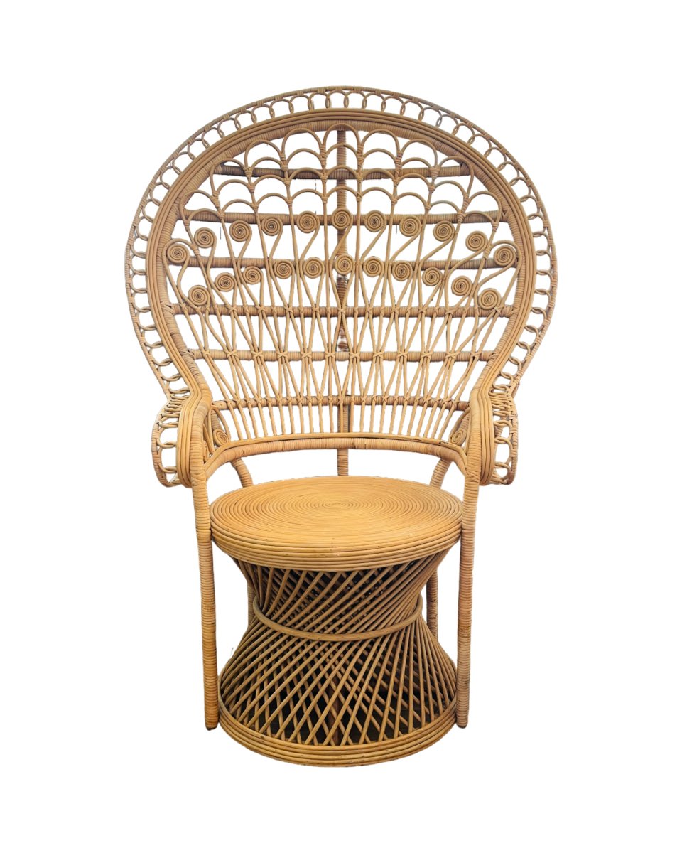 Second Chance: Peacock Chair - Tool - Tumbleweed Plants - Online Plant Delivery Singapore