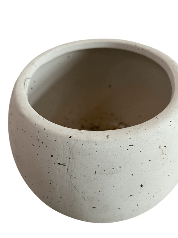 Second Chance: Pebble Time Pot FREE assorted plant - Pots - POTS - SECO - 6827 - Tumbleweed Plants - Online Plant Delivery Singapore