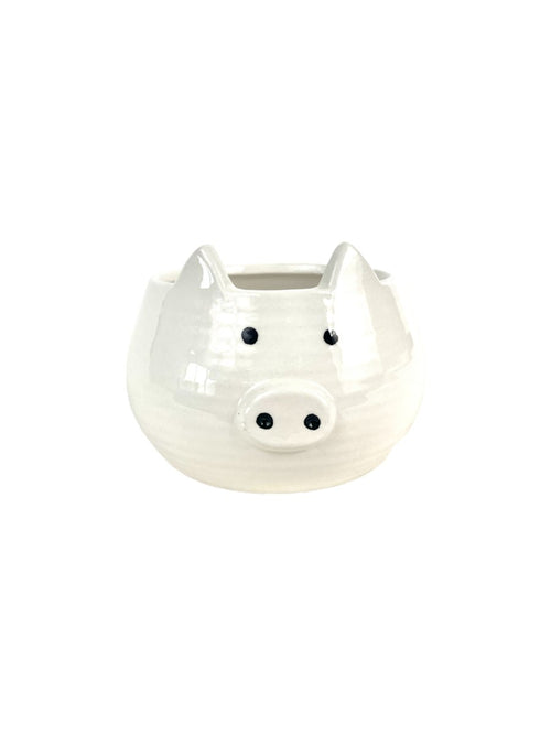 Second Chance: Piggy Planter - Pot - Tumbleweed Plants - Online Plant Delivery Singapore