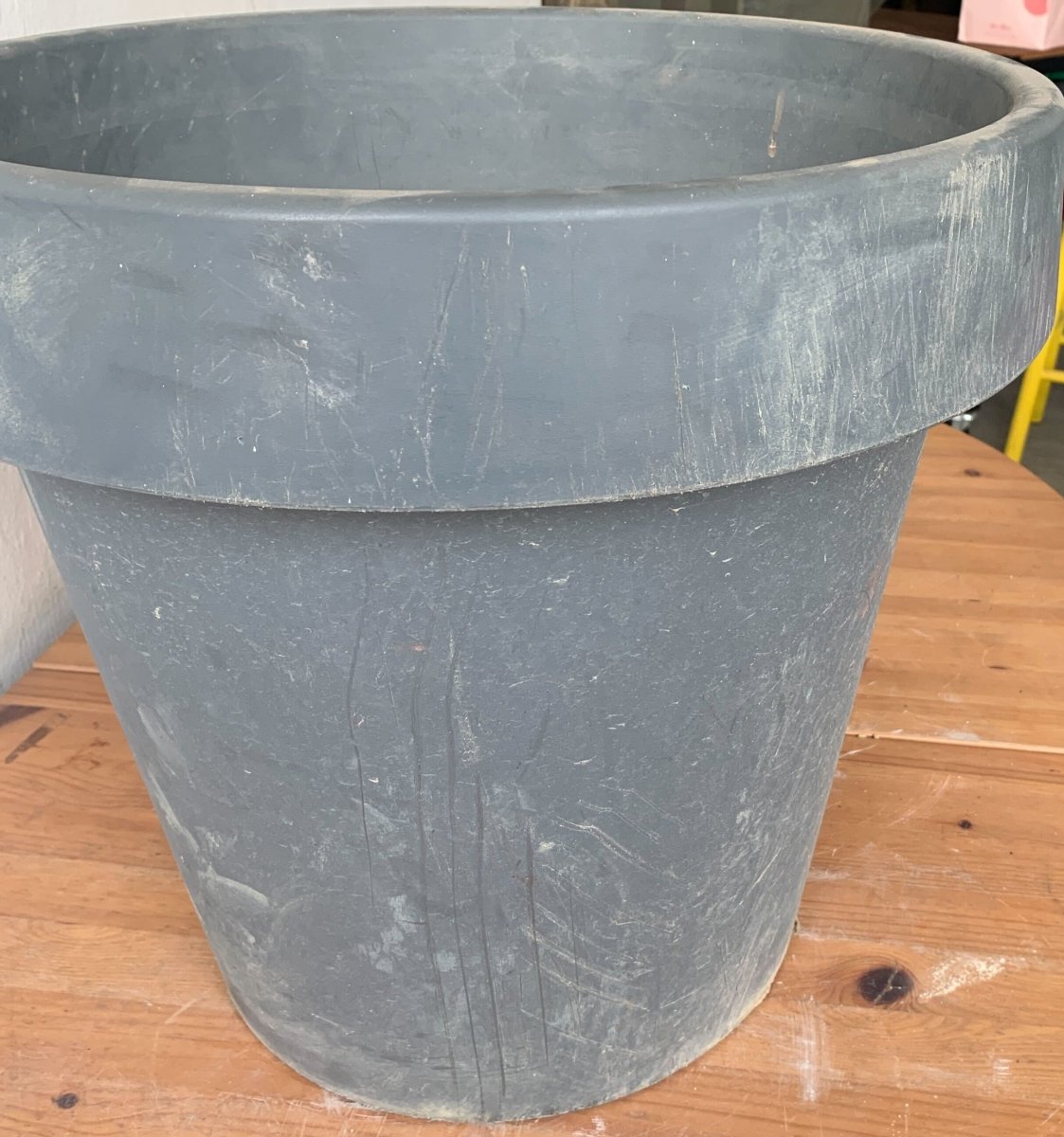 Second Chance: Pla Pot FREE assorted plant - Pots - TOOL - SECO - CM - 6306 - Tumbleweed Plants - Online Plant Delivery Singapore